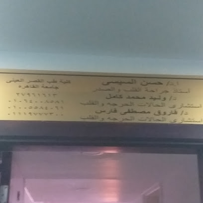حسن السيسى