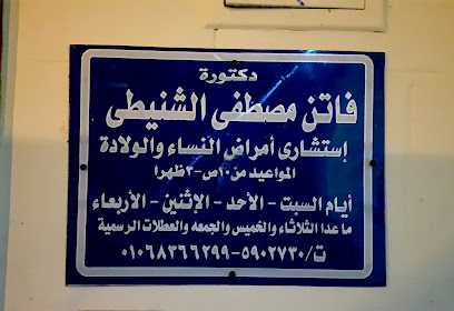 فاتن مصطفى الشنيطى