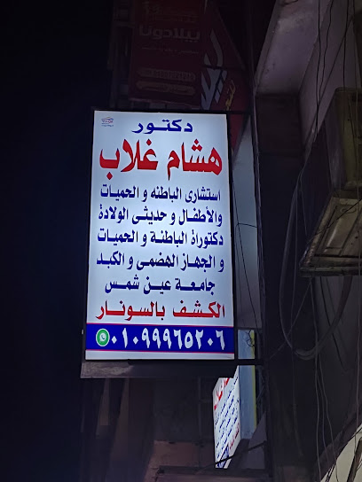 هشام غلاب