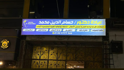 حسام الدين محمد