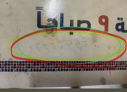 صفاء الصادي