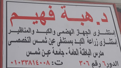 Heba Ahmed Fhym