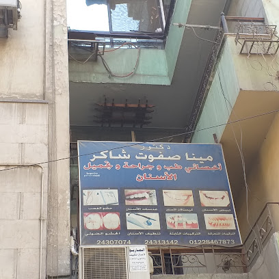 مينا صفوت شاكر