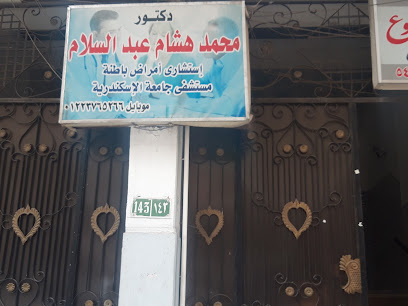 Mohamed Hesham Abdelsalam