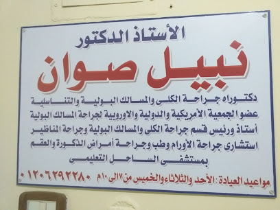 نبيل صوان