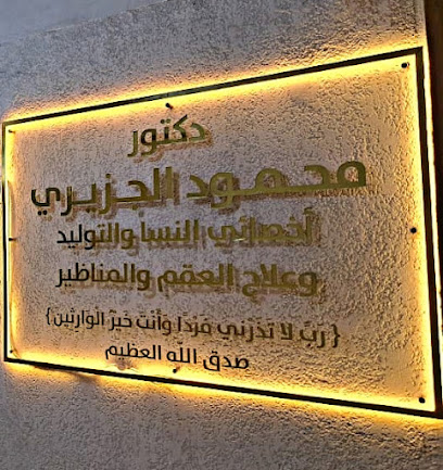 محمود الجزيري