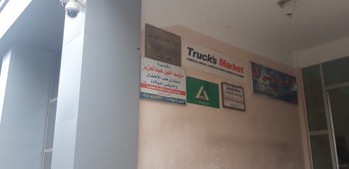 مايسه خليل عبد العزيز