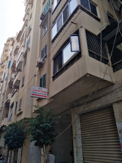 ريهام ممدوح