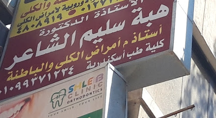 Heba Selim El-Shaar