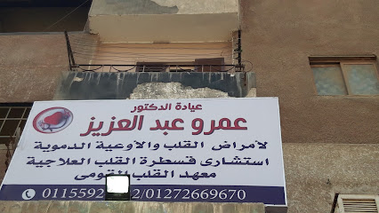 Amr Abdelaziz