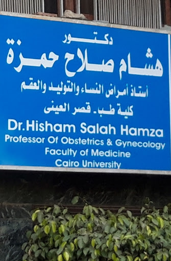 هشام صلاح حمزة