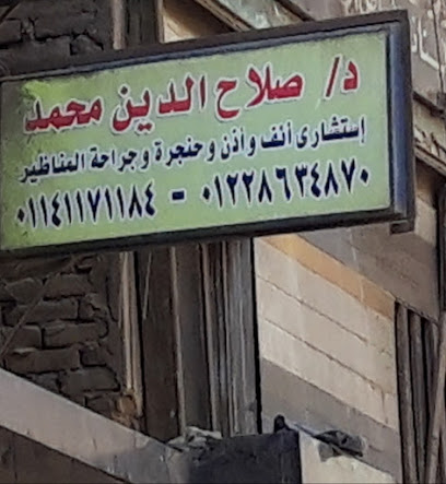 صلاح الدين محمد