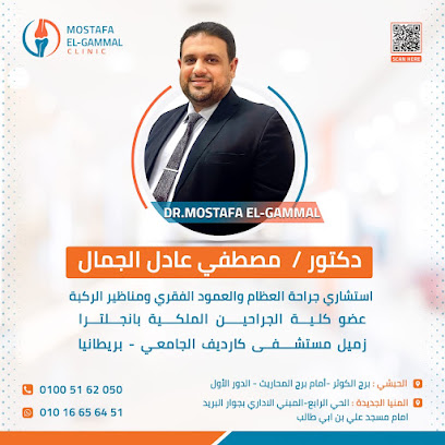 مصطفي عادل الجمال