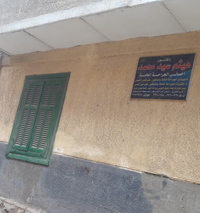 هيثم سيد محمد