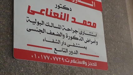 Mohamed El-Nanaay
