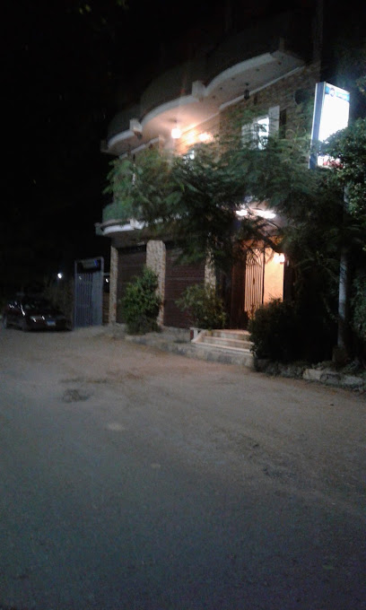 أحمد حسنى