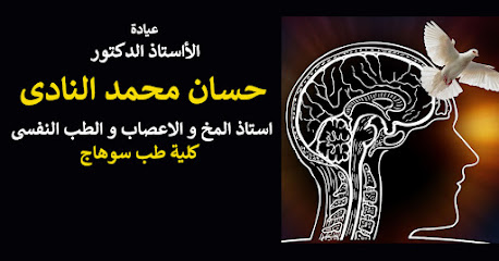 Hsan Mohamed El-Nady