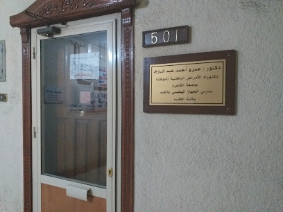 عمرو أحمد عبد البارى