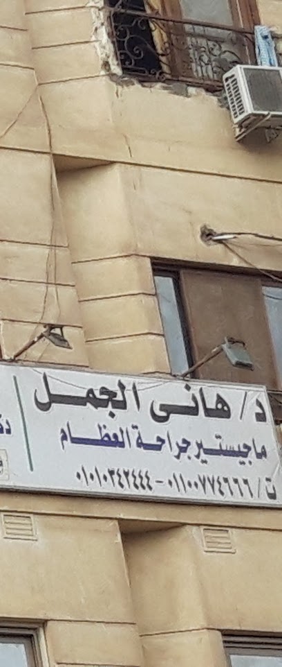 هانى الجمل