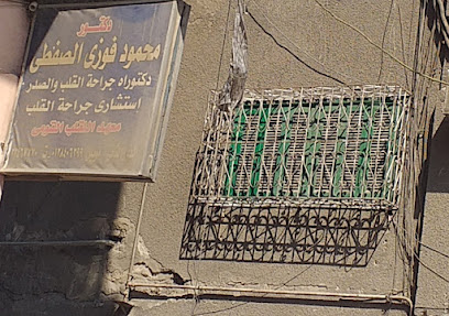 Mahmoud Fawzy El-Sfty