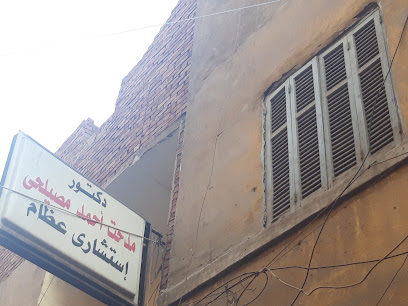 مدحت أحمد مصيلحى