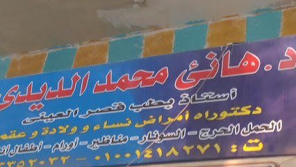 هانى محمد احمد الديدى