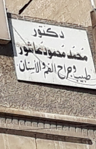 محمد محمود عاشور