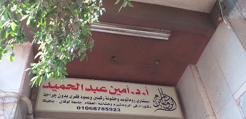 Amyn Abdelhamid