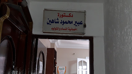 Abeer Mahmoud Shahin