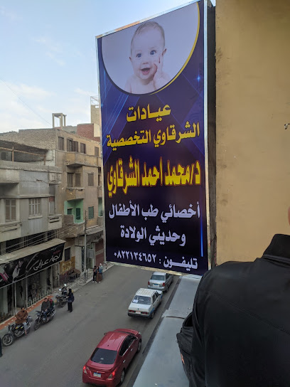 Mohamed El-Shrkawy