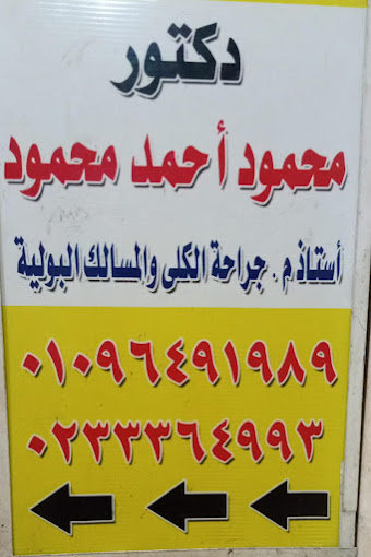 Mahmoud Ahmed Mahmoud