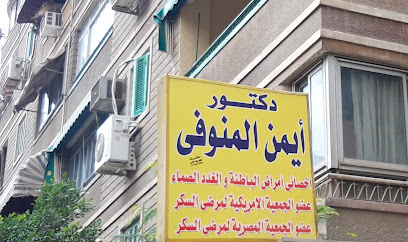 Ayman El-Mnwfy