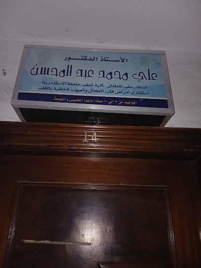 Ali Abdelmhsn