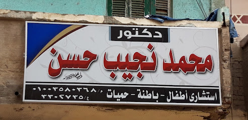 Mohamed Naguib Hassan