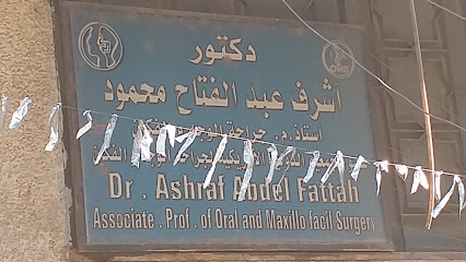 Ashraf Abdelfattah Mahmoud