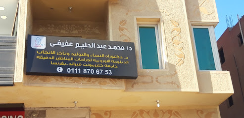 Mohamed Abdelhalim Afyfy