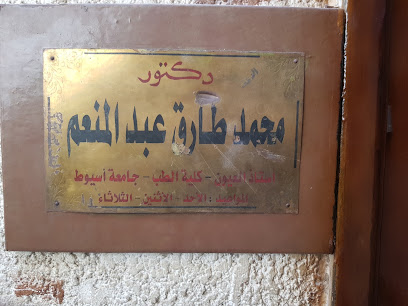 Mohamed Tarek Abdelmoneim
