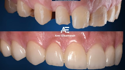 Amr Elkammah