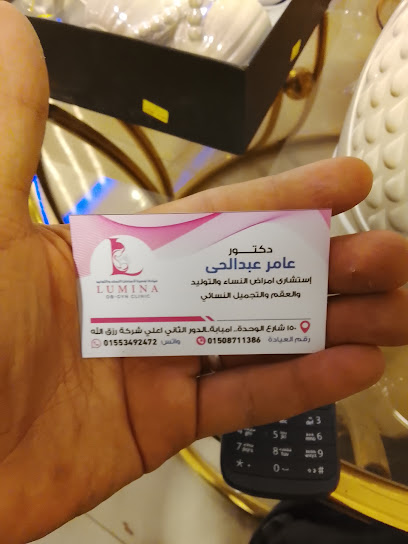 عامر عبد الحي