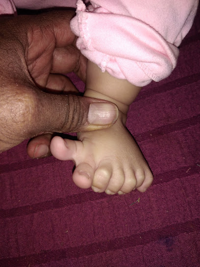 ناريمان ابو