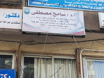 Sameh Mostafa