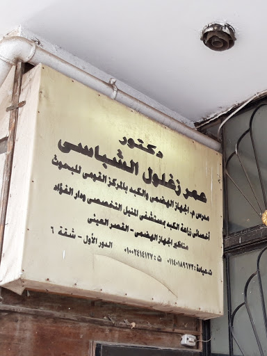Omar Zghlwl El-Shbasy