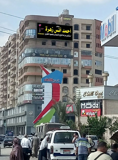 أحمد انس زهرة