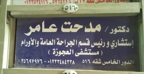 مدحت عامر