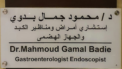 Mahmoud Gamal Bdwy El-Shykh Zayd