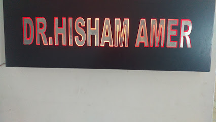 Hisham Amer