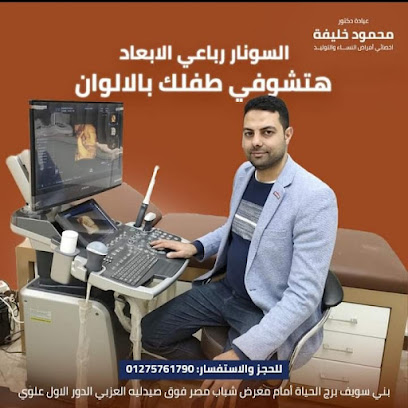 محمود خليفة نصر