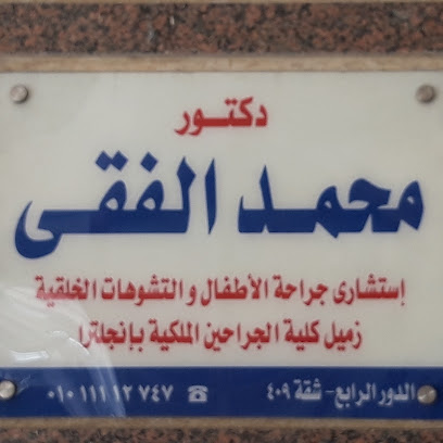 Mohamed El-Fky