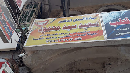سعيد سيد محمود