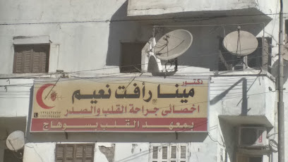 مينا رأفت نعيم